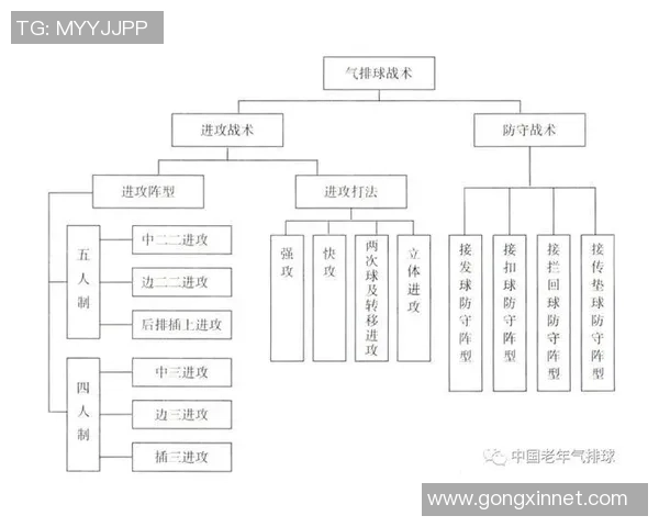 南京排球队的转换打法深度分析与战术创新探讨 南京排球队的转换打法深度分析与战术创新探讨