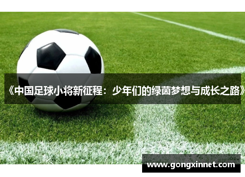 《中国足球小将新征程：少年们的绿茵梦想与成长之路》