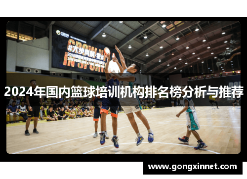 2024年国内篮球培训机构排名榜分析与推荐