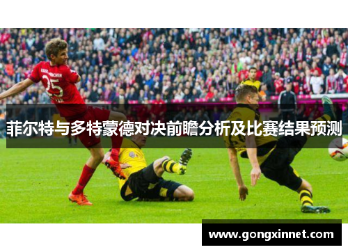 菲尔特与多特蒙德对决前瞻分析及比赛结果预测